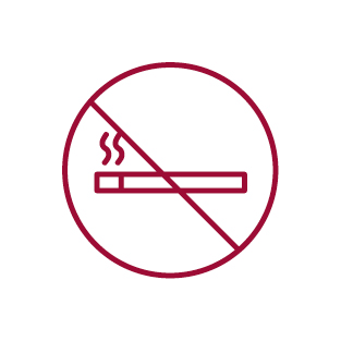 Icon zu: Rauchverbot. (durchgestrichene Zigarette)