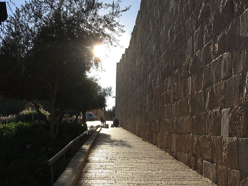 Path between wall and trees towards the sun.
</p>
<p>