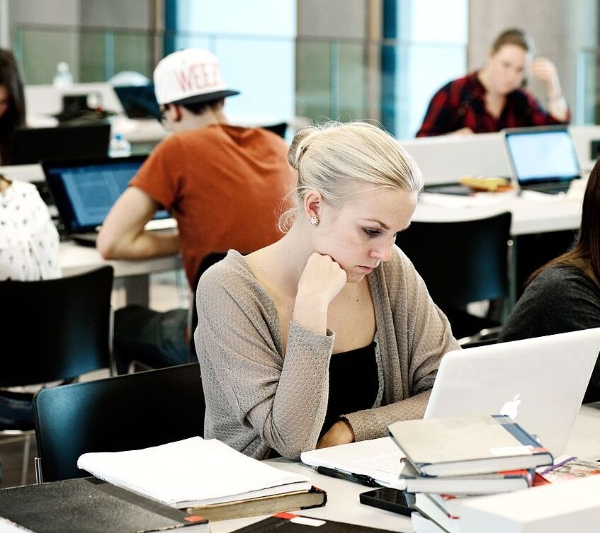 Picture shows student studying.