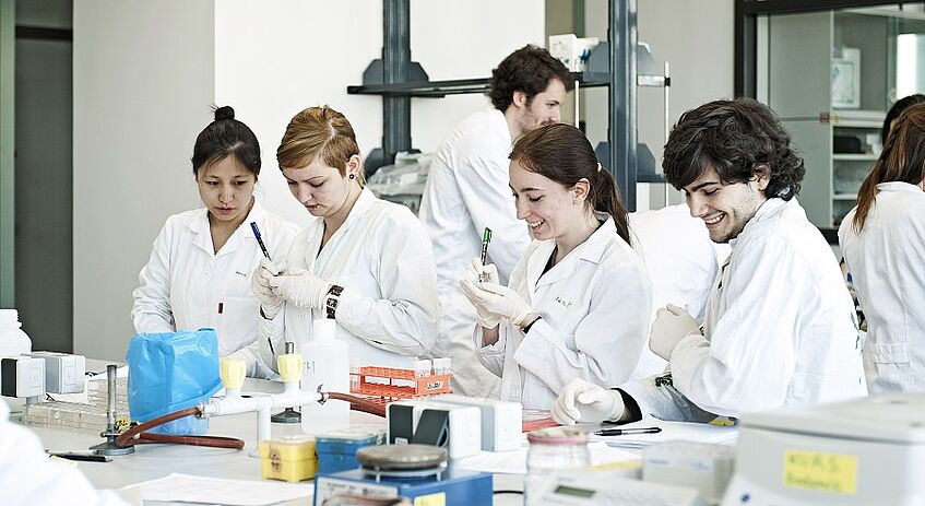Studierende führen Experimente durch im Labor.
