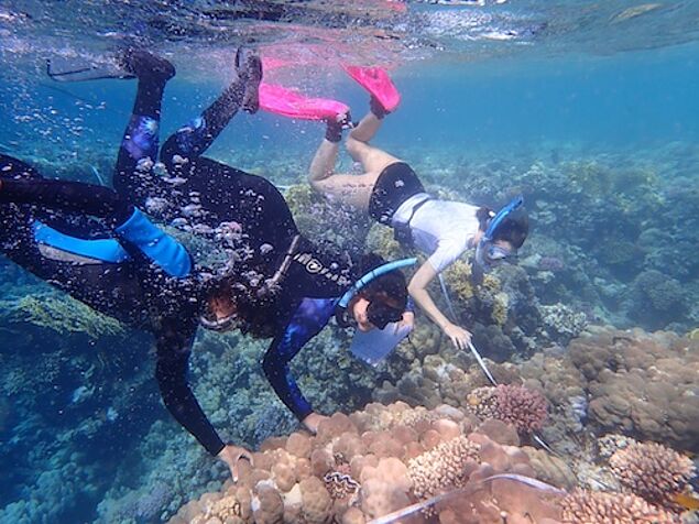two students diving at a coral reef
