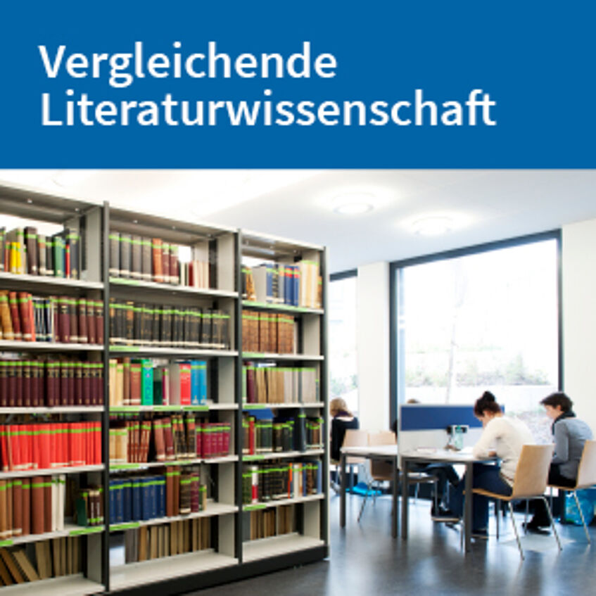 Flyer Vergleichende Literaturwissenschaft zum Download (PDF).