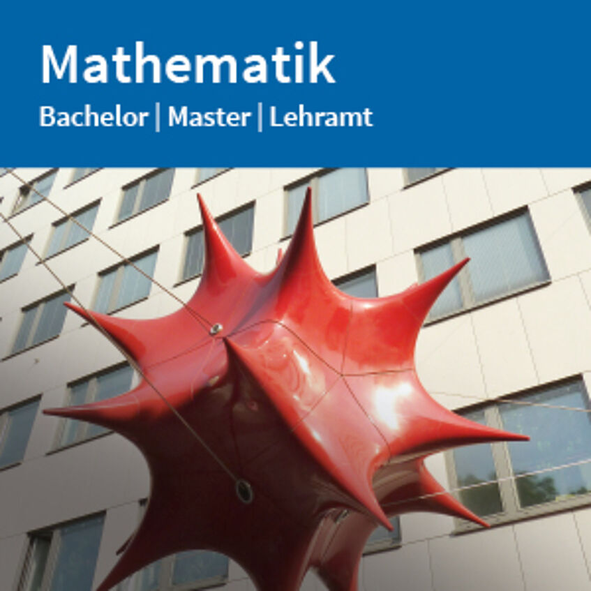 Flyer Mathematik zum Download (PDF).