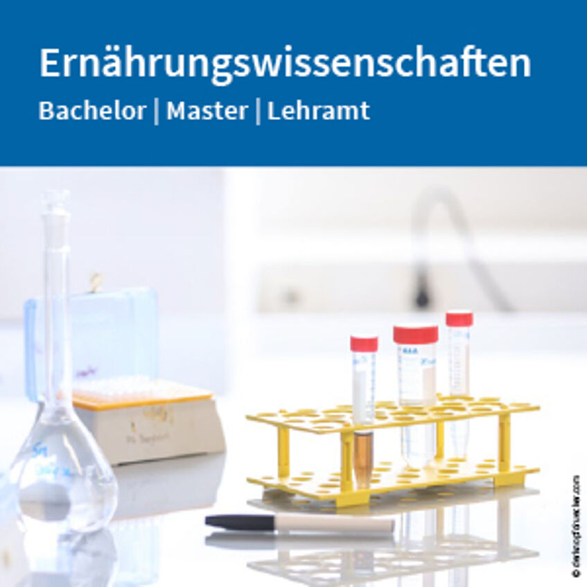 Flyer Ernährungswissenschaften zum Download (PDF).