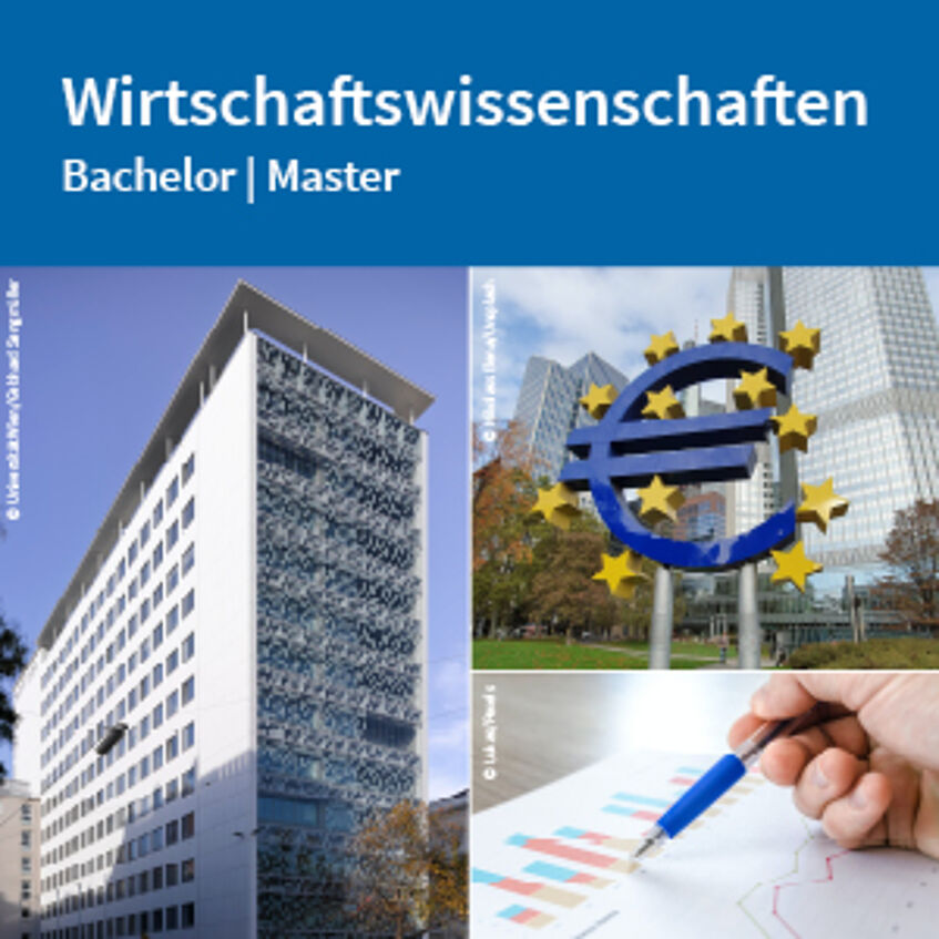 Flyer Wirtschaftswissenschaften zum Download (PDF).