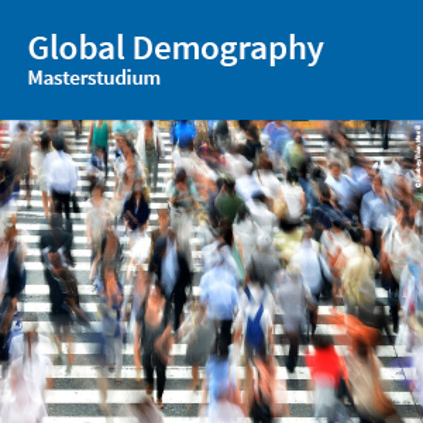 Flyer Global Demography zum Download (PDF).
