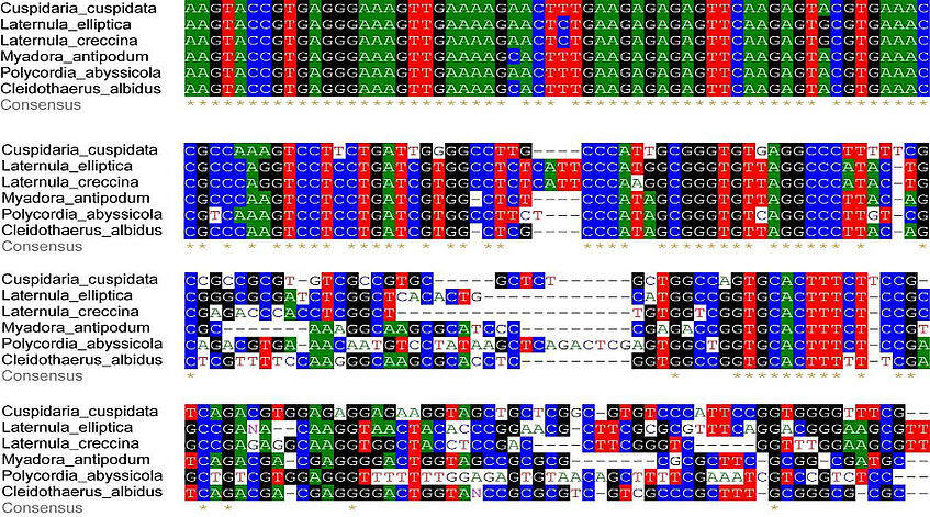 Darstellungen von DNA-Sequenzen von Tieren.