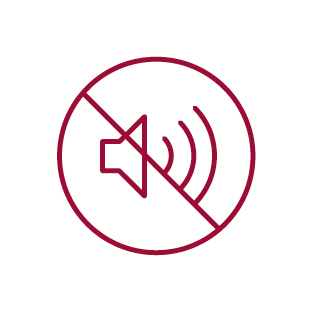 Icon: Be quiet. (crossed out loudspeaker with sound waves)