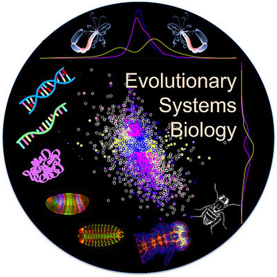 systems biology phd